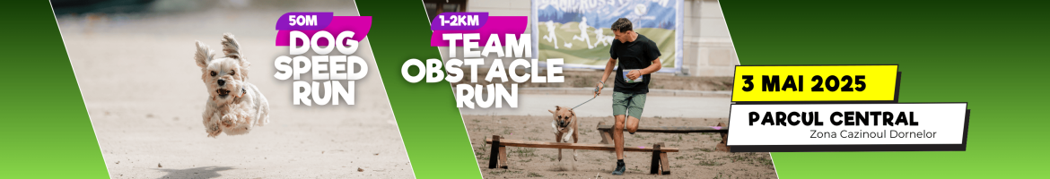Canicross Obstacle Run + Speed Run | Vatra Dornei ~ 3 MAI 2025